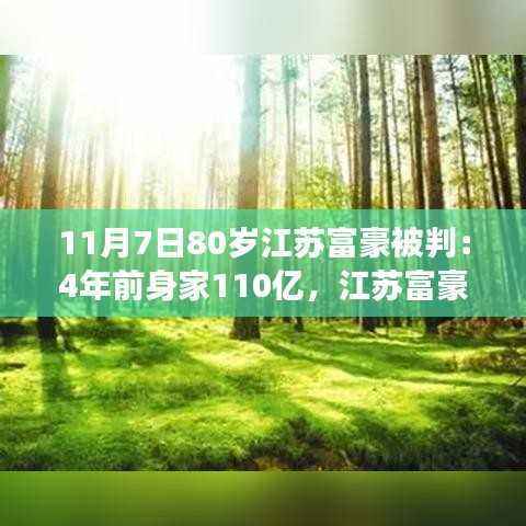 江苏富豪的静谧之旅,从繁华到自然,探索内心的宁静之路(80岁富豪被判,四年前身家达百亿)