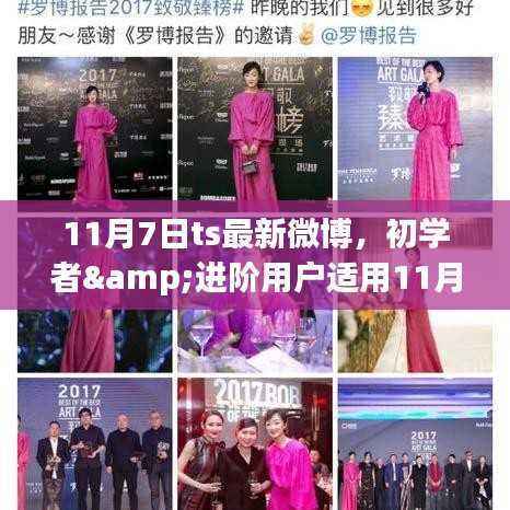 初学者与进阶用户指南，11月7日微博最新任务完成全攻略发布