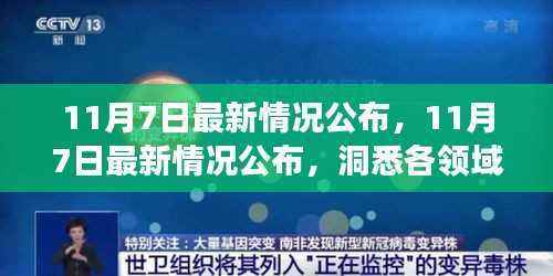 11月7日最新情况公布,洞悉各领域发展动态