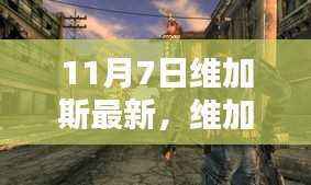 维加斯最新评测与介绍,全面解读维加斯新动态(11月7日更新)