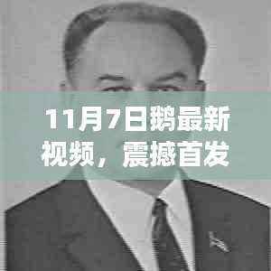11月7日鹅最新视频揭秘,科技新星引领未来生活