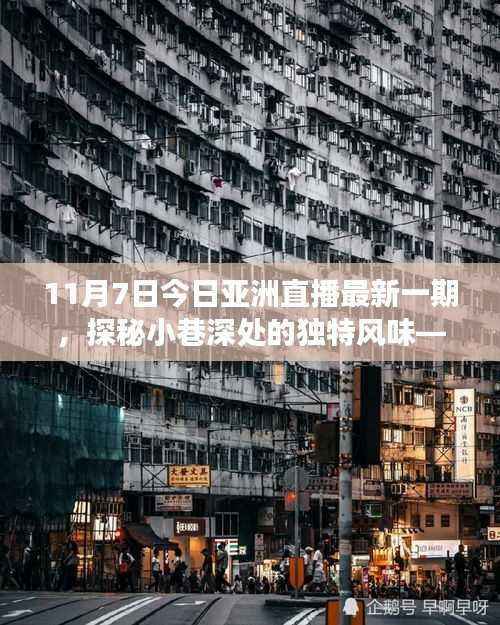 今日亚洲直播,探秘小巷深处的独特风味,带你领略特色小店之旅(11月7日最新直播)