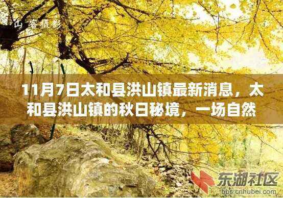 太和县洪山镇秋日秘境探索之旅,自然美景的最新消息