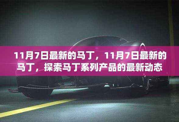 11月7日马丁系列新品动态及未来展望