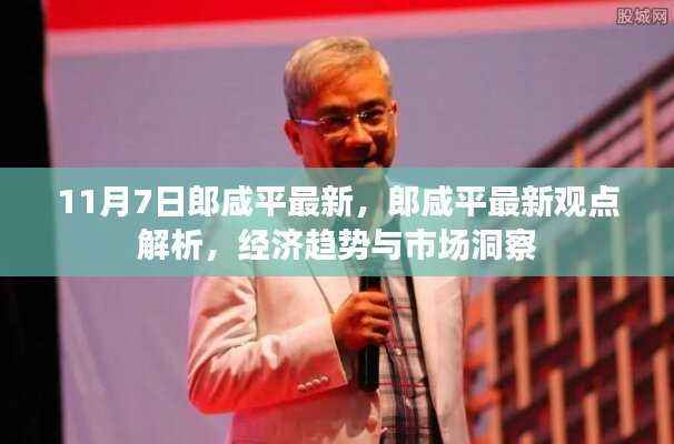 郎咸平最新观点解析,经济趋势与市场洞察(11月7日更新)