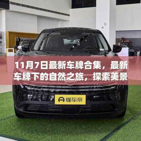 最新车牌下的自然探索之旅,美景与心灵宁静的寻觅(11月7日车牌合集)