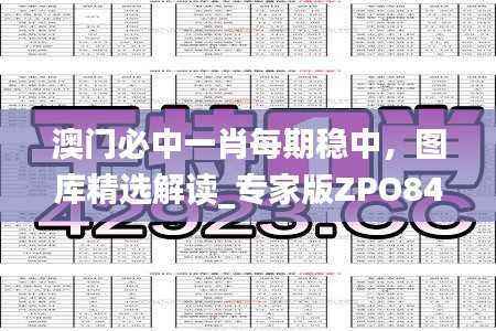 澳门必中一肖每期稳中,图库精选解读_专家版ZPO842.19