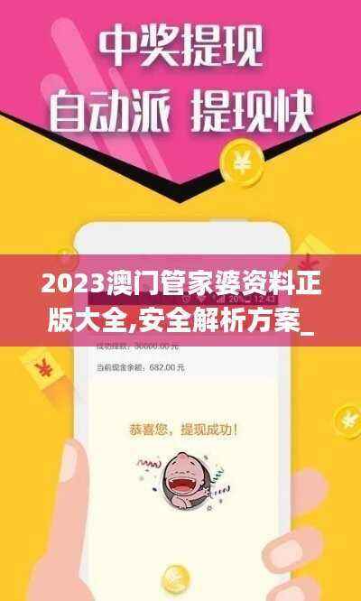 2023澳门管家婆资料正版大全,安全解析方案_可变版RNW960.46