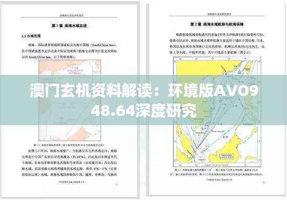 澳门玄机资料解读：环境版AVO948.64深度研究