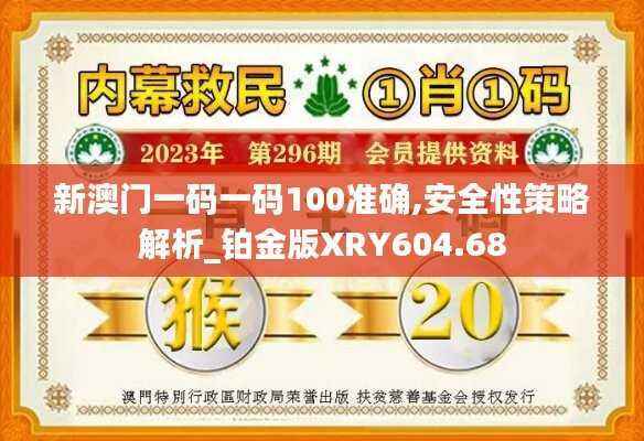 新澳门一码一码100准确,安全性策略解析_铂金版XRY604.68
