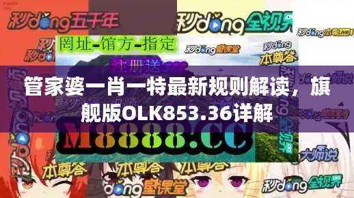 管家婆一肖一特最新规则解读,旗舰版OLK853.36详解