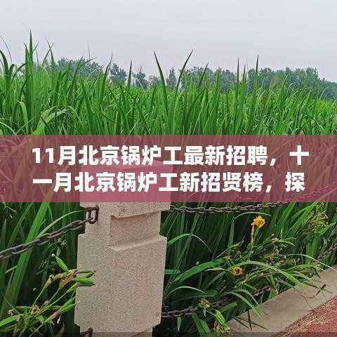 北京锅炉工最新招聘探秘,行业背景与时代地位