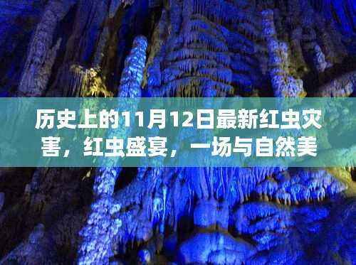 探寻心灵平静之旅,红虫盛宴与红虫灾害的不期而遇的历史记忆之旅
