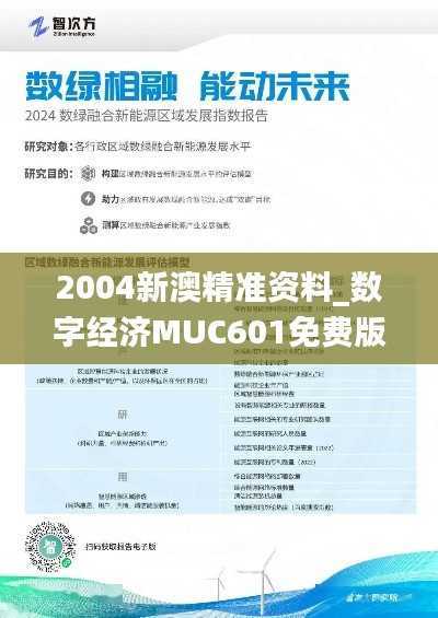 2004新澳精准资料_数字经济MUC601免费版