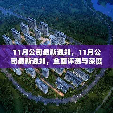 最新深度评测与全面介绍,公司十一月通知概览