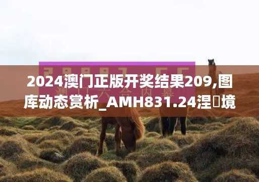 2024澳门正版开奖结果209,图库动态赏析_AMH831.24涅槃境