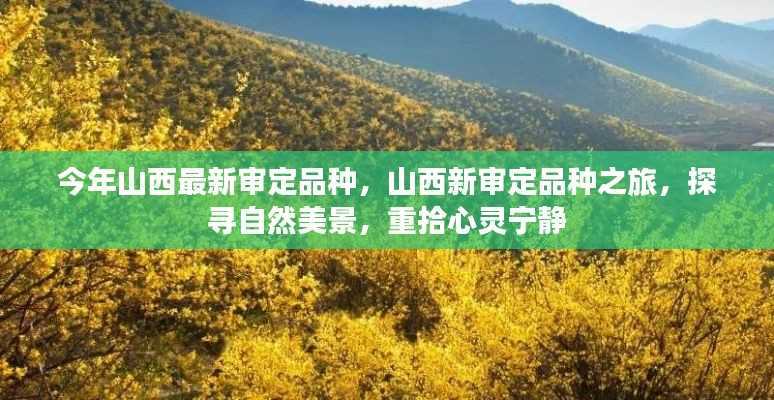 山西新审定品种之旅，探寻自然美景，心灵宁静的寻访之路