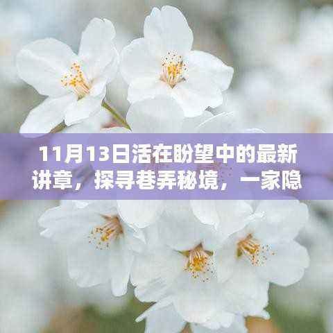 探寻巷弄秘境，特色小店新篇章——活在盼望中的11月13日讲章