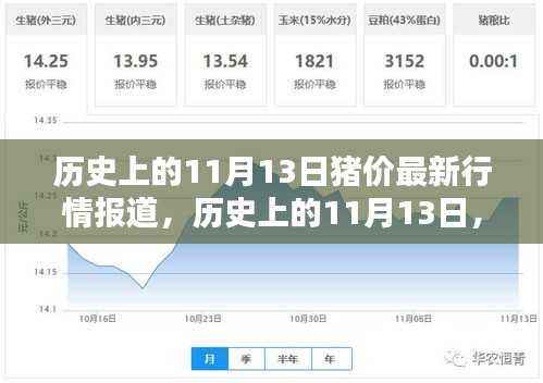 历史上的11月13日猪价行情深度解析与最新报道