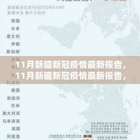 11月新疆新冠疫情最新报告,全面评测与深度介绍