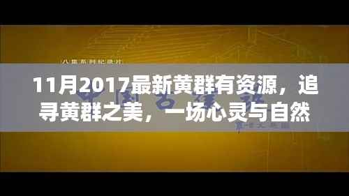 追寻黄群之美,心灵与自然共舞之旅(最新资源分享)