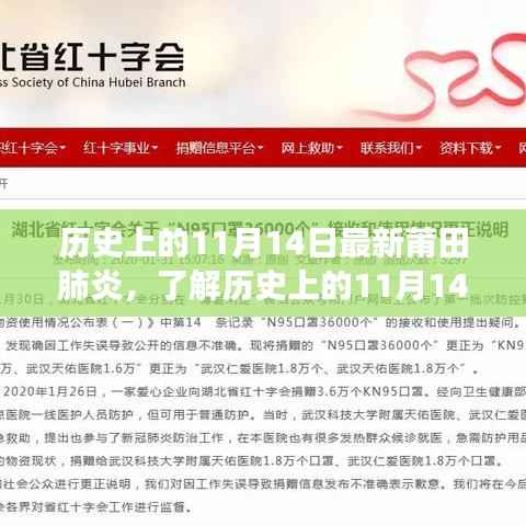 历史上的11月14日莆田肺炎事件详解,步骤指南与事件回顾