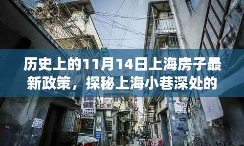 历史上的上海房产新政与独特小巷小店探秘,揭秘十一月十四日背后的故事