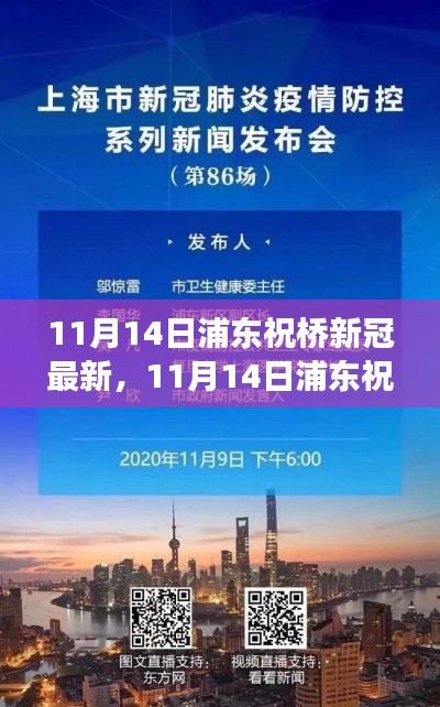 浦东祝桥新冠疫情最新动态与防控进展分析(11月14日更新)