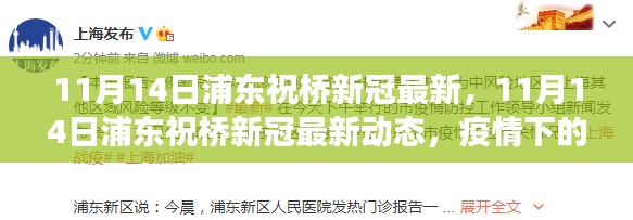 浦东祝桥新冠疫情最新动态与防控进展分析(11月14日更新)