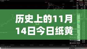 探秘黄金梦,今日纸黄金报价与独特黄金小店之旅(11月14日)