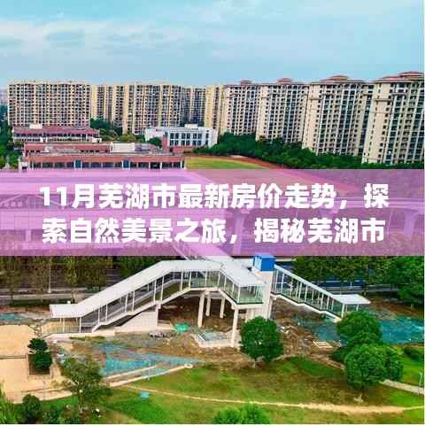 芜湖市最新房价走势揭秘,自然美景背后的宁静力量探索
