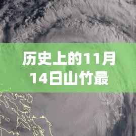 历史上的山竹移动轨迹与我们的成长之路,揭秘山竹如何影响我们的成长历程在11月14日这一天。
