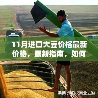 11月进口大豆价格详解,最新指南与查询方法