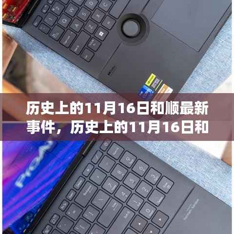 历史上的11月16日和顺事件最新概览