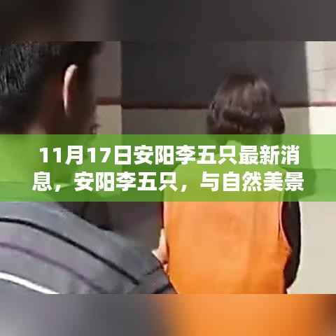 安阳李五只与自然美景的不期而遇,寻找内心的宁静乐园最新消息