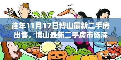 历年11月17日博山二手房市场动态深度观察与回顾分析,最新房源出售与市场趋势探讨