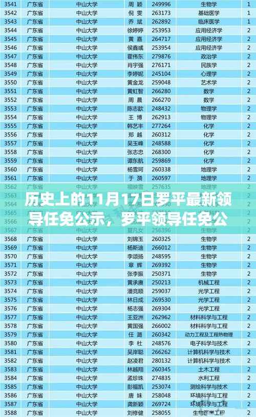 罗平领导任免公示,权力更迭的深度分析与观点阐述