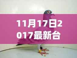 深度剖析,台鸽展翅背后的背景、事件与影响——2017年台鸽最新动态解析