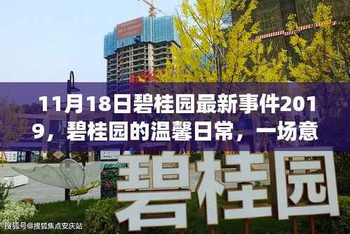 碧桂园温馨日常,意外惊喜派对事件回顾 2019年11月18日