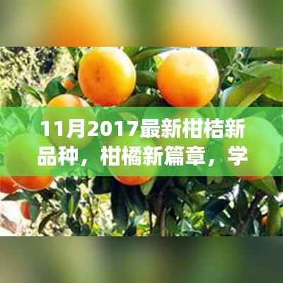 柑橘新篇章,学习变化,自信成就梦想——探索最新柑桔新品种