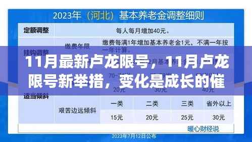 11月卢龙限号新变化,成长催化剂助力自信与成就探寻之路