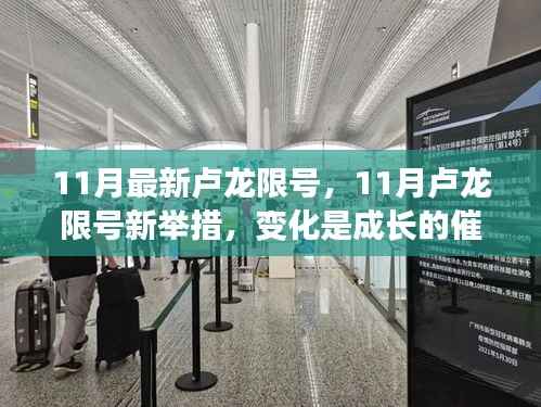 11月卢龙限号新变化,成长催化剂助力自信与成就探寻之路