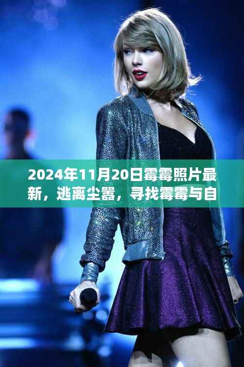 霉霉的心灵之旅,逃离尘嚣,探寻自然秘密的最新照片之旅(2024年11月20日)