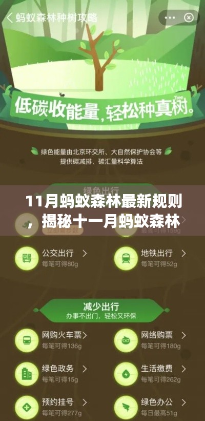 揭秘十一月蚂蚁森林全新规则,轻松开启绿色能量之旅新篇章