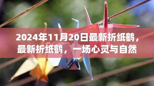 最新折纸鹤,心灵与自然的奇妙旅程(日期,2024年11月20日)