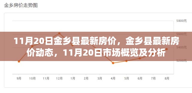 11月20日金乡县房价最新动态及分析