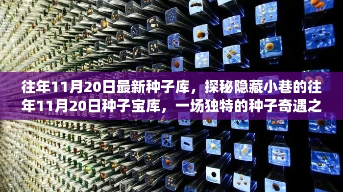 探秘隐藏小巷的往年11月20日种子宝库,种子奇遇之旅开启