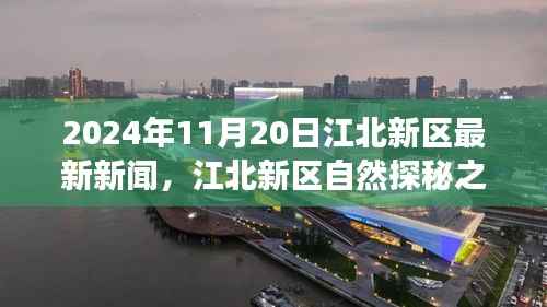 江北新区自然探秘之旅，寻找内心平静的奇妙新闻之旅（2024年11月20日最新消息）