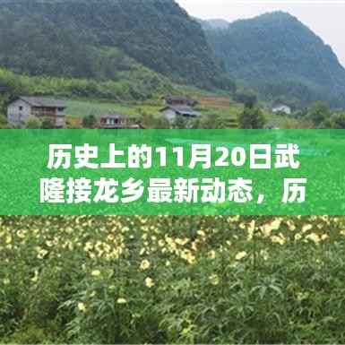 武隆接龙乡最新动态概览,历史上的11月20日动态回顾与概览