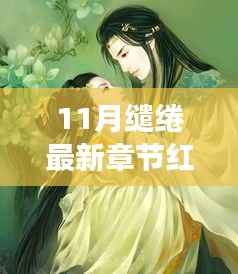 十一月红尘紫陌的自然探秘之旅